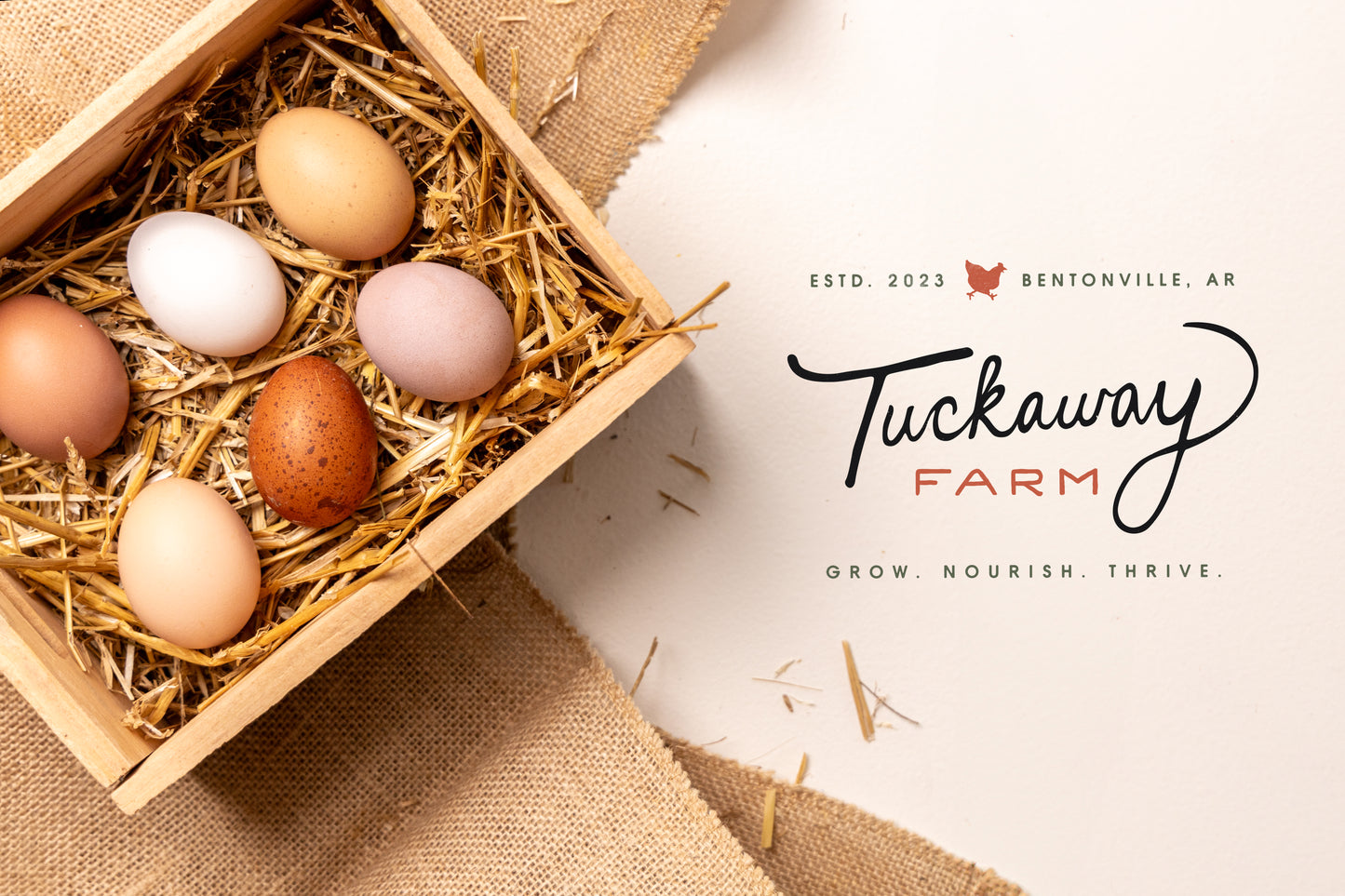 Eggs, Weekly Subscription