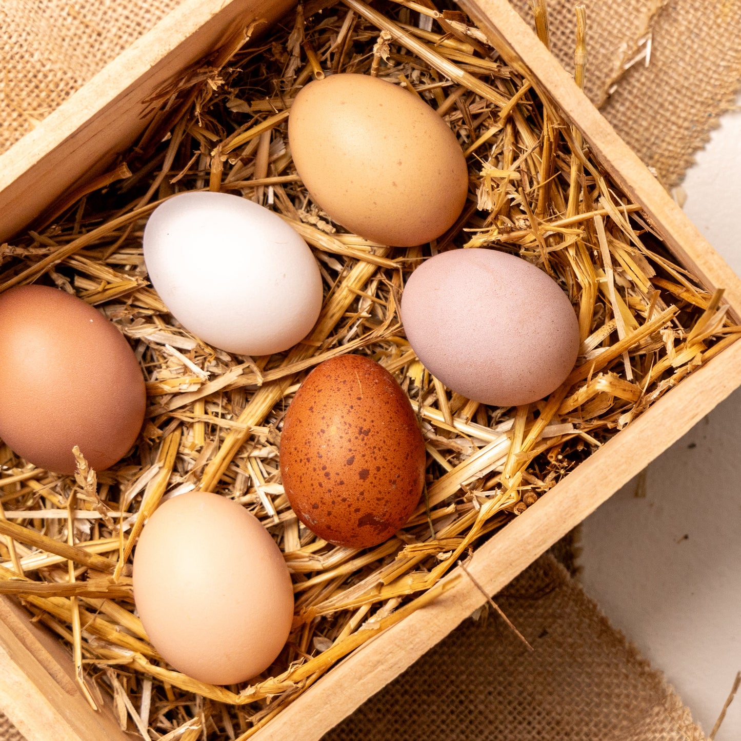 Eggs, Half Dozen Weekly subscription